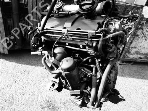 Engine VW GOLF IV (1J1) 1.9 TDI (101 hp) 9631950