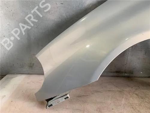 Left front fenders RENAULT CLIO II (BB_, CB_)  | BP24316247C41 