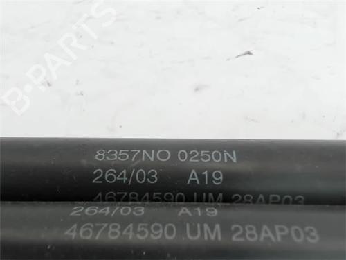 Hood lift support FIAT STILO (192_)  | BP14342372C139 