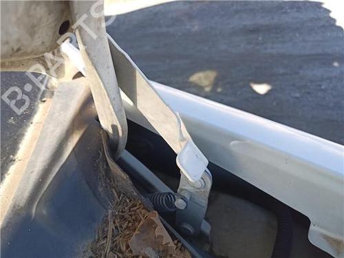 Hinge/Door check strap PEUGEOT BIPPER (AA_) 1.4 HDi | BP32417569C146