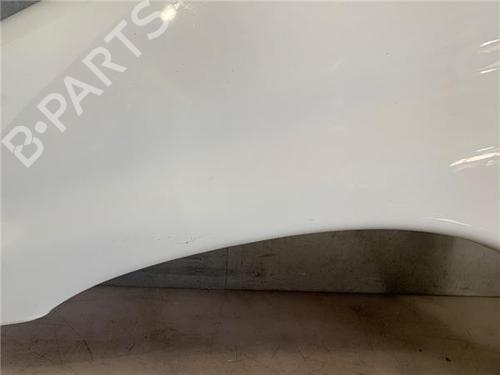 Left front fenders PEUGEOT PARTNER Box Body/MPV (5_, G_)  | BP22132661C41 