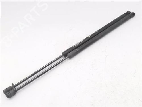 Tailgate lift support OPEL MERIVA A MPV (X03)  | BP29119145C138 