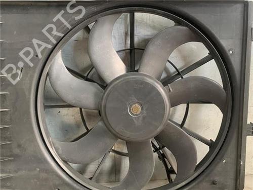 Radiator fan SEAT IBIZA IV (6J5, 6P1)  | BP25495971M35 