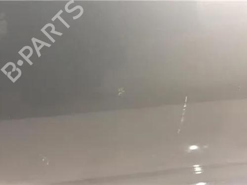 Left front door SEAT IBIZA II (6K1)  | BP11362888C2 