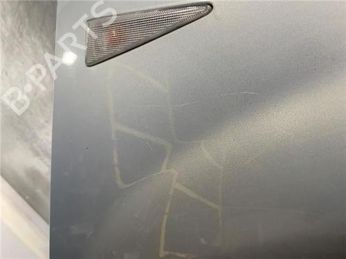 Right front fenders RENAULT SCÉNIC II (JM0/1_)  | BP18682479C42 