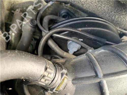 Used Servo brake Servo brake RENAULT CLIO III (BR0/1, CR0/1) [2005-2014] 25719082 25719082