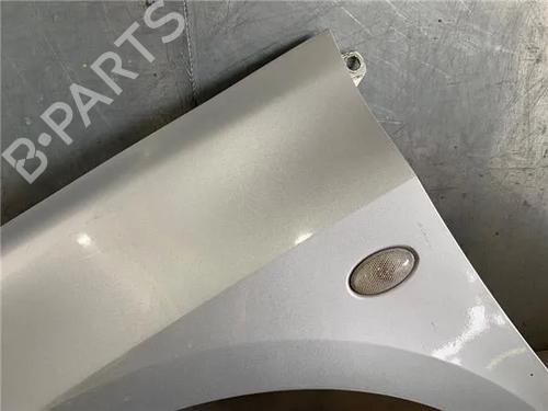 Left front fenders PEUGEOT 307 (3A/C) 2.0 HDi 90 | BP26587649C41 