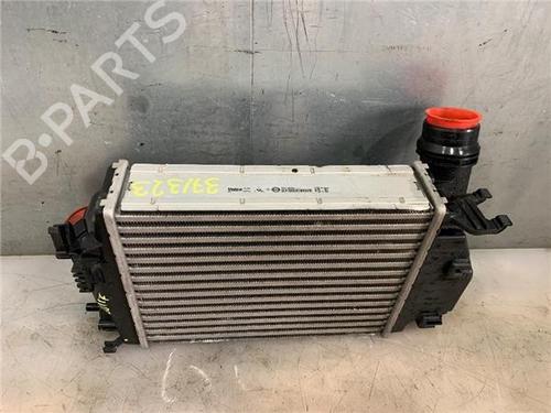 Intercooler NISSAN QASHQAI II (J11, J11_)  | BP25009961M30