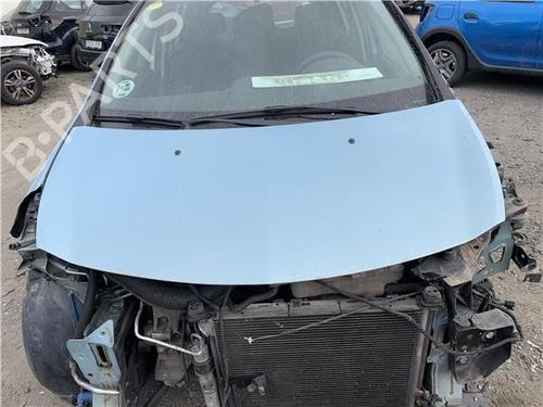 Motorhjelm RENAULT CLIO III (BR0/1, CR0/1) [2005-2014]  25719052