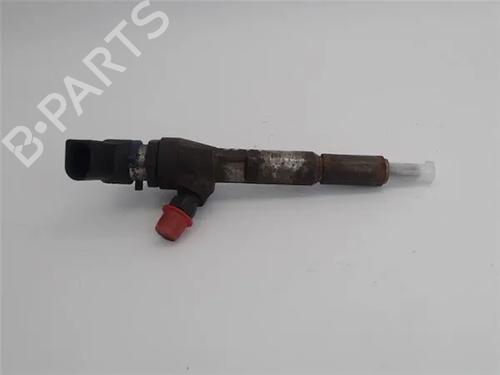 Injector FORD TRANSIT CONNECT (P65_, P70_, P80_)  | BP24151166M100 