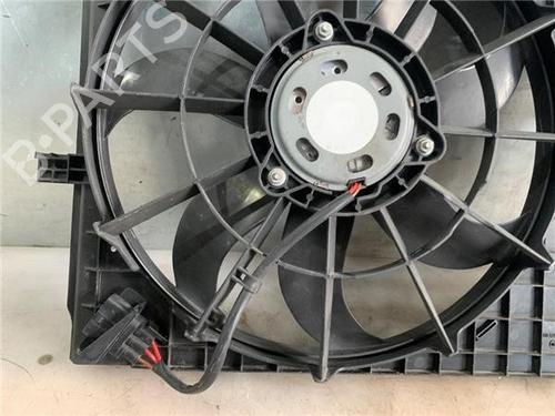 Radiator fan SEAT IBIZA IV (6J5, 6P1)  | BP25495971M35 