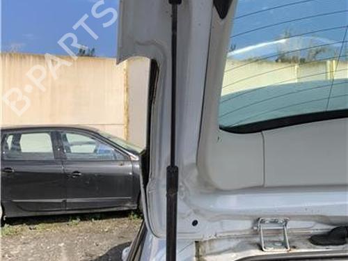 Tailgate lift support FORD FOCUS III | BP29259959C138