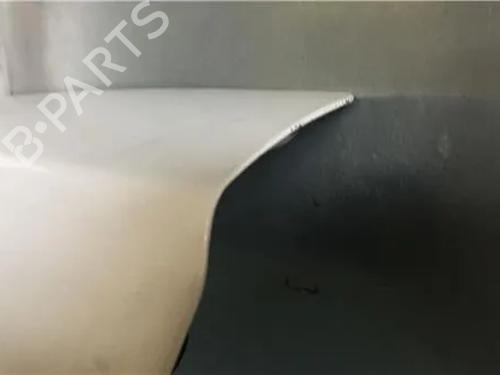 Tailgate RENAULT KANGOO Express (FC0/1_)  | BP10933070C6 