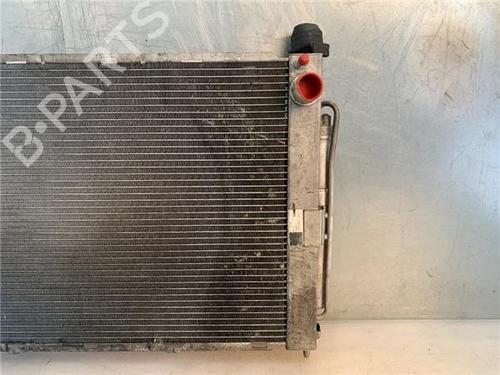 Køler RENAULT CLIO III (BR0/1, CR0/1)  | BP16073892M31 