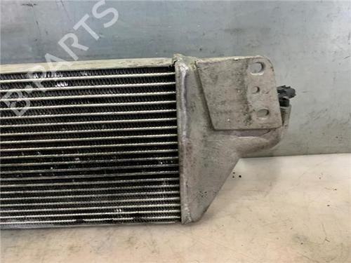 Intercooler TATA SAFARI (42_FD) 2.1 | BP33220869M30  - Image 7