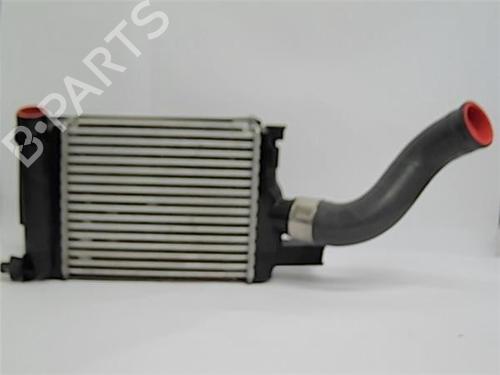 Intercooler DACIA DUSTER (HS_) 1.5 dCi | BP11171928M30 