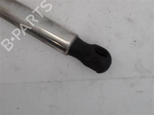 Hood lift support VW GOLF IV (1J1) 1.6 16V | BP17212719C139 