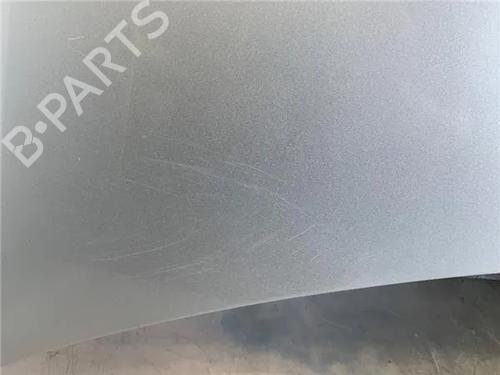 Hood PEUGEOT 307 (3A/C) 2.0 HDi 90 | BP26446157C1 