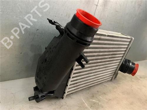 Intercooler NISSAN QASHQAI II (J11, J11_)  | BP25009961M30