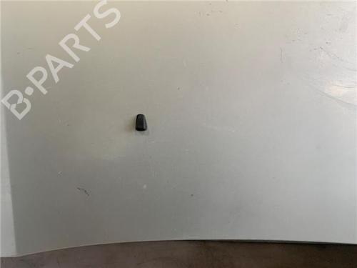 Hood LAND ROVER DISCOVERY III (L319) 2.7 TD 4x4 | BP19135792C1 
