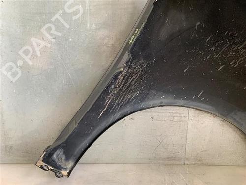 Left front fenders RENAULT GRAND SCÉNIC III (JZ0/1_) 1.5 dCi (JZ0B, JZ07) | BP29134658C41 