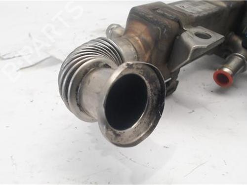 Egr RENAULT GRAND SCÉNIC II (JM0/1_) 1.9 dCi (JM0G, JM12, JM1G, JM2C) | BP16589972M69 