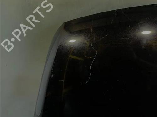 Hood VW TOUAREG (7LA, 7L6, 7L7) 5.0 V10 TDI | BP15648704C1 