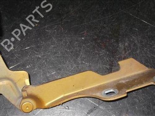 Hinge/Door check strap RENAULT CLIO II (BB_, CB_)  | BP14335961C146 