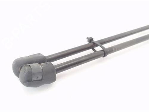 Tailgate lift support FORD C-MAX II (DXA/CB7, DXA/CEU)  | BP29259865C138 