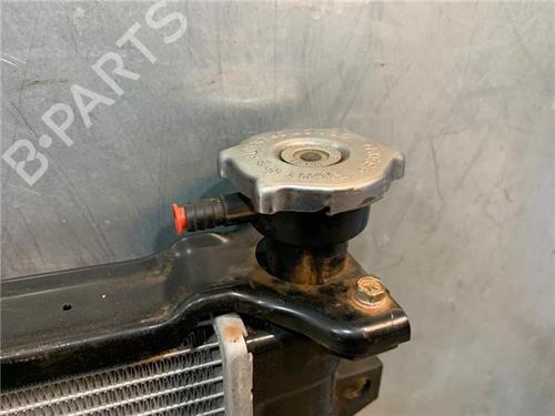 Water radiator CHRYSLER VOYAGER IV (RG, RS)  | BP25718981M31 