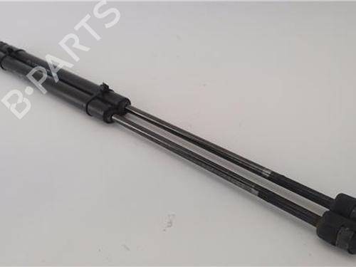 Tailgate lift support DACIA SANDERO 1.4 (BS0C, BS0A, BS0G, BS1F, BS0E) | BP29134633C138 