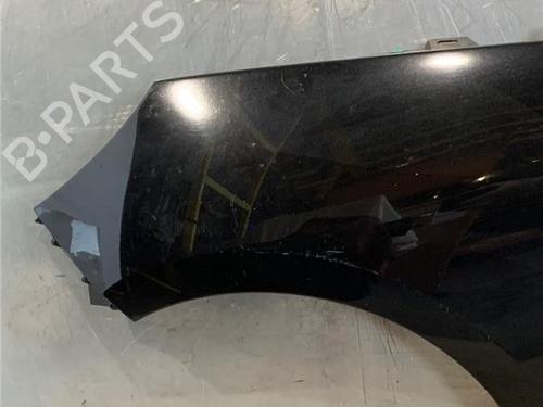 Left front fenders RENAULT SCÉNIC III (JZ0/1_) 1.2 TCe | BP16589966C41 