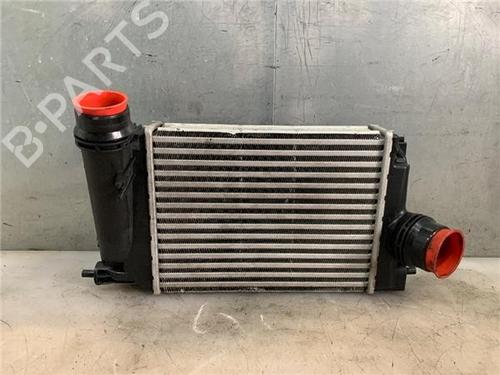 Intercooler NISSAN QASHQAI II (J11, J11_)  | BP25009961M30