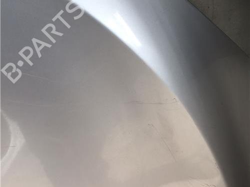 Hood RENAULT MEGANE III Hatchback (BZ0/1_, B3_) 1.5 dCi (BZ0C) | BP9661611C1 