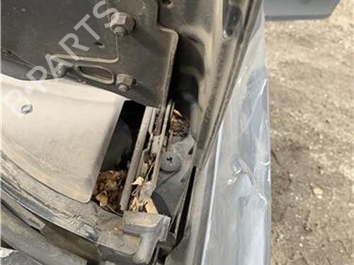 Hinge/Door check strap SEAT LEON (1P1) 1.9 TDI | BP32417861C146 