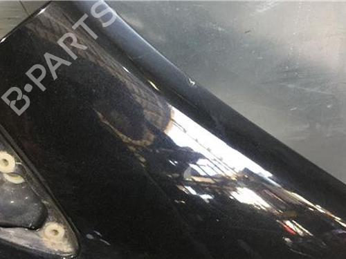 Right front fenders FIAT GRANDE PUNTO (199_) 1.9 D Multijet | BP14339778C42 