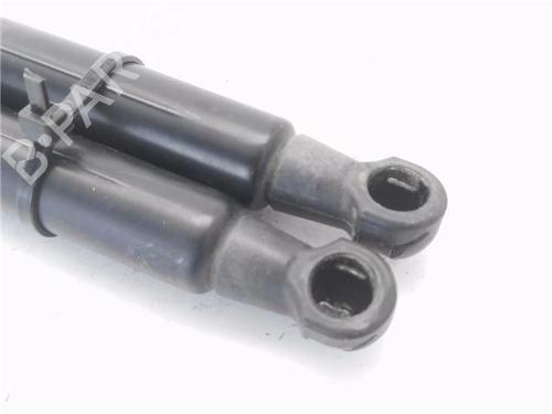 Tailgate lift support NISSAN QASHQAI I (J10, NJ10) 1.5 dCi | BP30154109C138