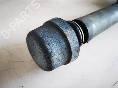 Right rear shock absorber FORD ESCORT IV (GAF, AWF, ABFT)  | BP12104183M19