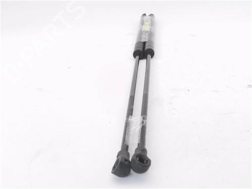 Tailgate lift support BMW 3 Compact (E46)  | BP29574387C138 