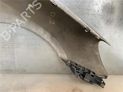 Left front fenders PEUGEOT 307 (3A/C) 2.0 HDi 90 | BP26587649C41 