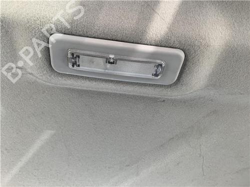 Interior roof light FORD TRANSIT CONNECT (P65_, P70_, P80_) 1.8 TDCi | BP32450666I8 