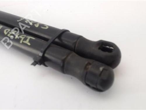 Tailgate lift support SEAT IBIZA III (6L1) 1.4 16V | BP24415900C138