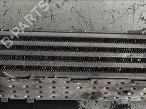 Used Intercooler SEAT CORDOBA (6K2) [1999-2002]  13048948