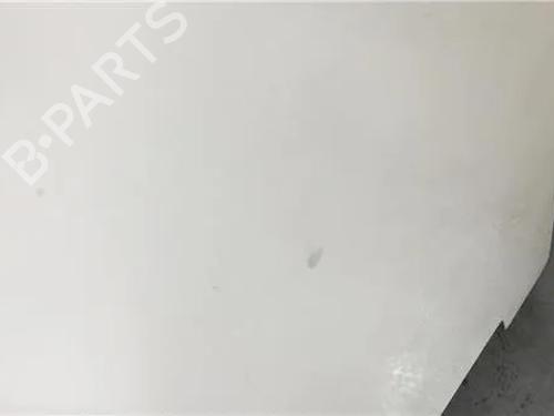 Hood RENAULT RAPID Box Body/MPV (F40_, G40_) 1.9 D (F40P, F40N, F40E) | BP9759905C1 