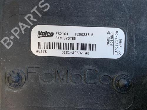 Radiator fan FORD FIESTA VI (CB1, CCN) 1.25 | BP22959119M35 