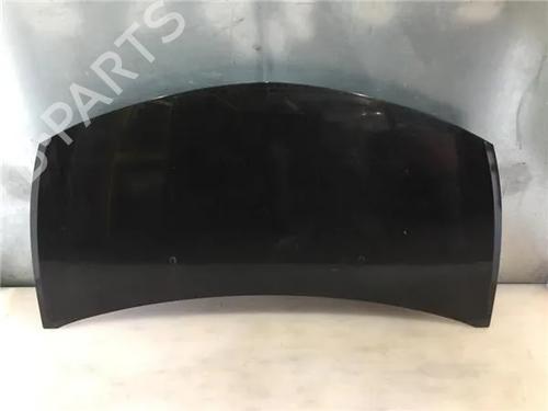 Used Hood RENAULT CLIO III (BR0/1, CR0/1) 1.4 16V (98 hp) 10004482