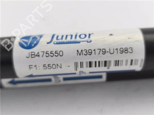 Tailgate lift support FIAT BRAVO I (182_) 1.8 GT (182.AC) | BP23169120C138 