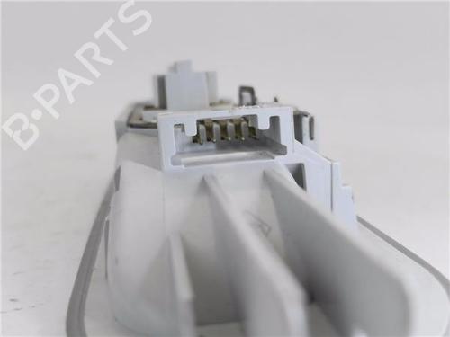 Interior roof light RENAULT CLIO III (BR0/1, CR0/1)  | BP29023418I8 