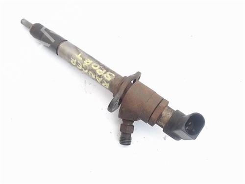 Injector LAND ROVER RANGE ROVER SPORT I (L320) 2.7 D 4x4 | BP16538673M100 