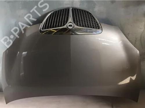Panser LANCIA YPSILON (843_) [2003-2011]  10933059